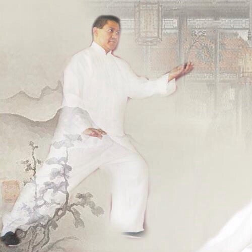 Shaolin Wushu Training Photo