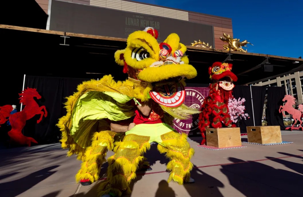 Shaolin Wushu Kung Fu Academy Lion Dance